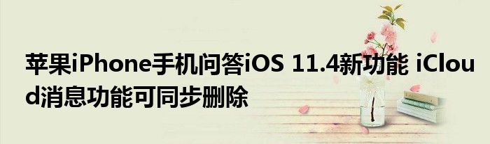 苹果iPhone手机问答iOS-11.4新功能-iCloud消息功能可同步删除